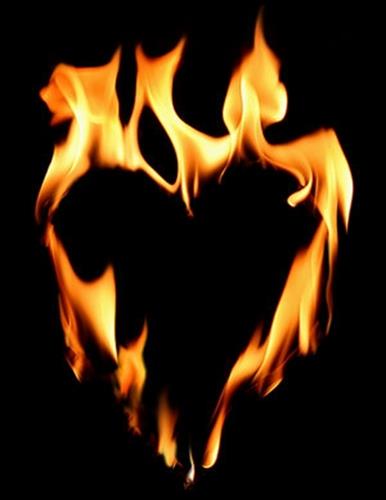 mohammad mahdi&nbsp;b